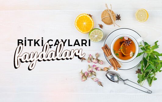 Bitki Çayları ve Faydaları